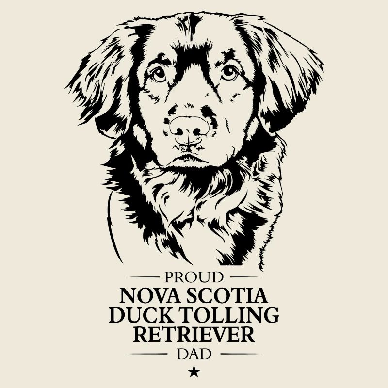 Nova Scotia Duck Tolling Retriever Papa Wilsigns