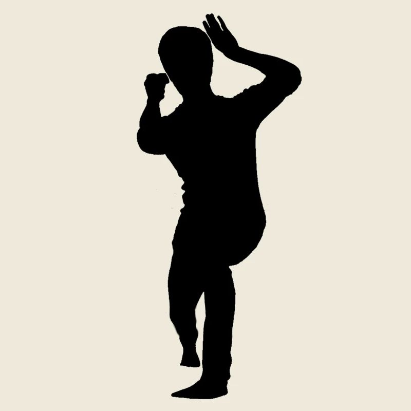 Bruce Lee Shadow Biu Da
