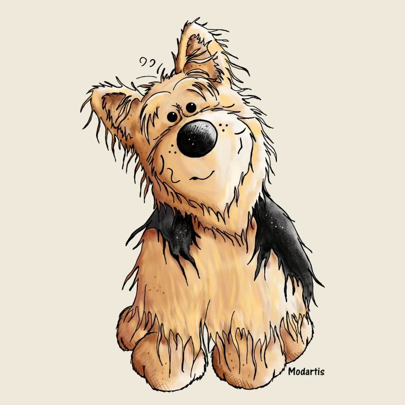 Yorkshire Terrier - Hund