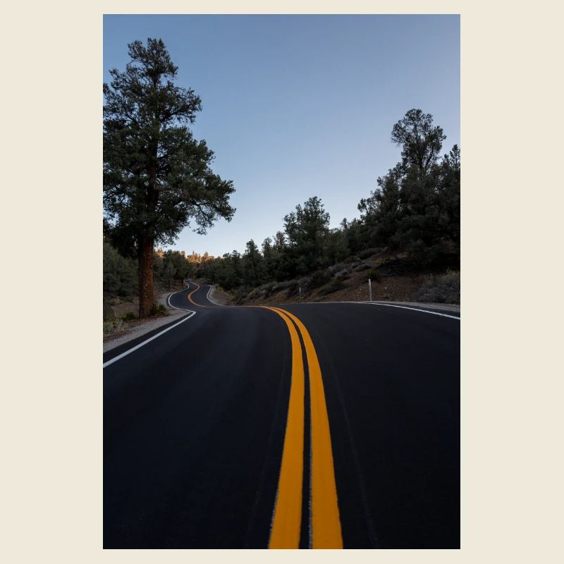 Califonia Snake Road