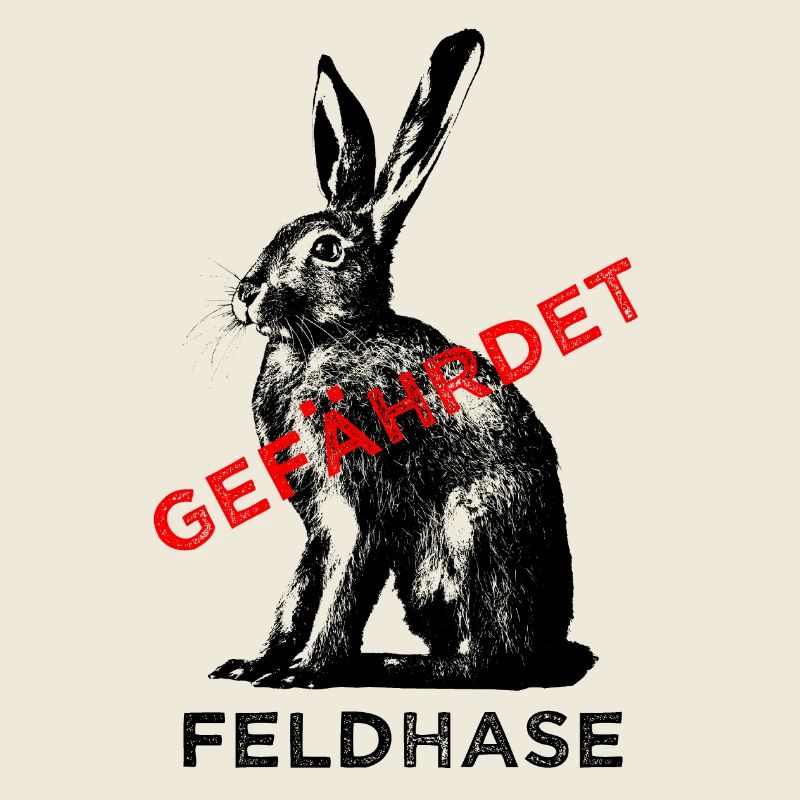 Der Feldhase ist gefährdet.
