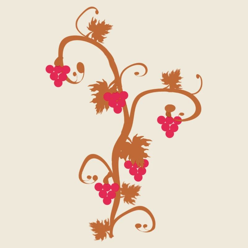 weintrauben und Ranke