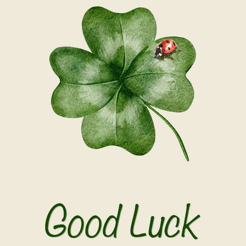 Good Luck – Kleeblatt mit Marienkäfer