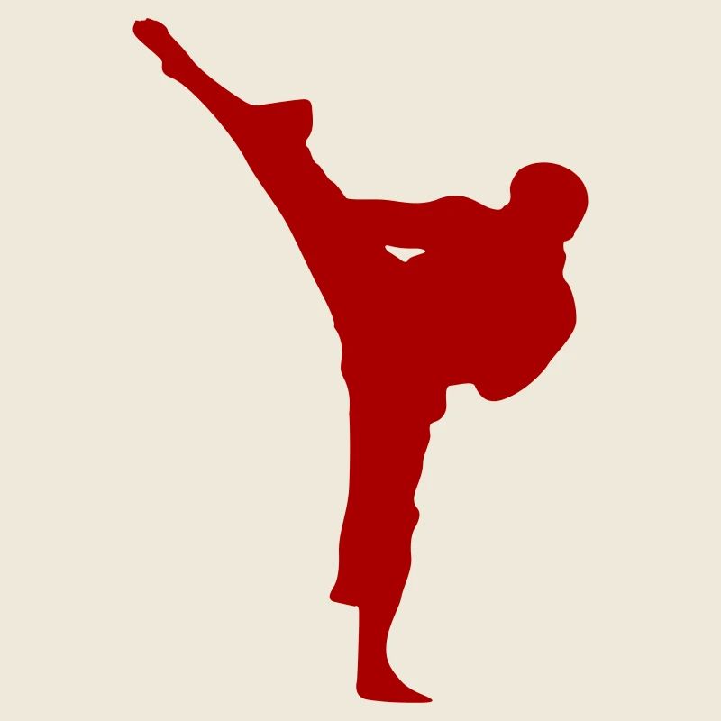 Martial Arts Karate Silhouette