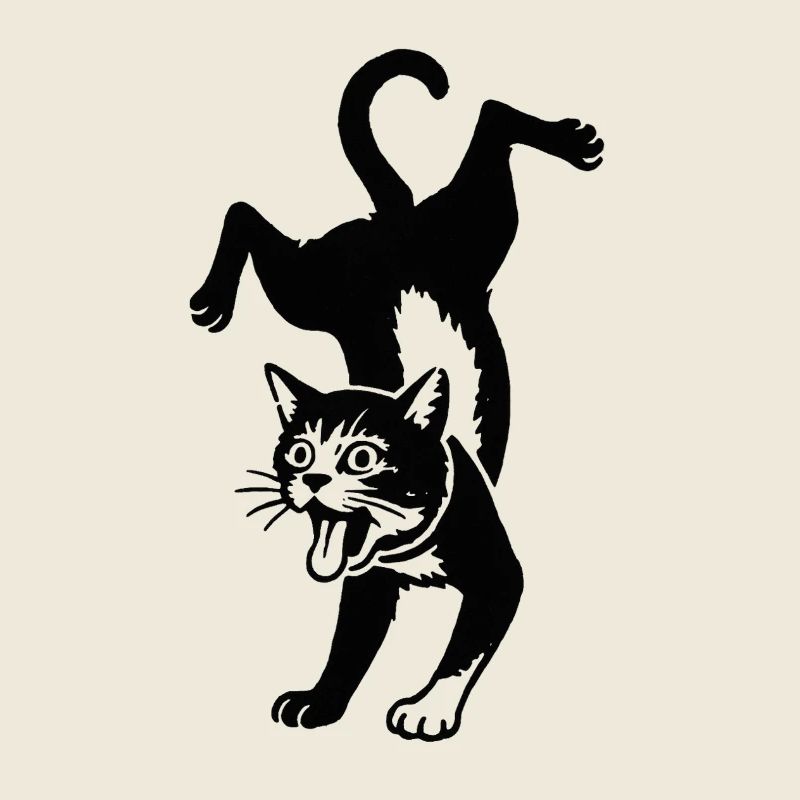 Saut de la silhouette du chat