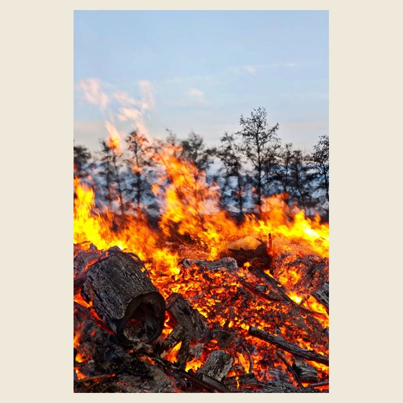 Flame Inferno Easter Fire Motif Poster