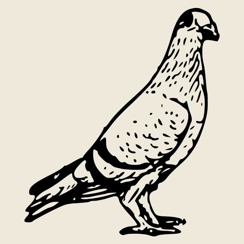 dove134