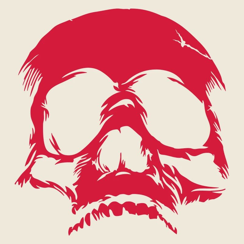 Skull Riss