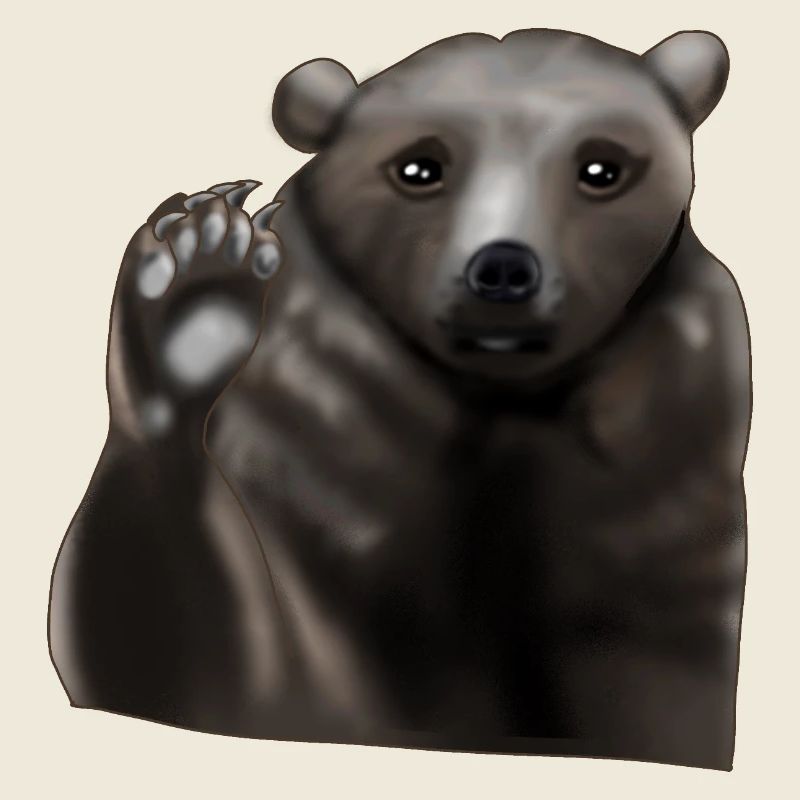 Ours brun