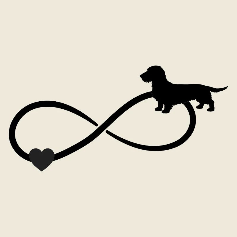 Teckel aux cheveux durs Teckel Infinity