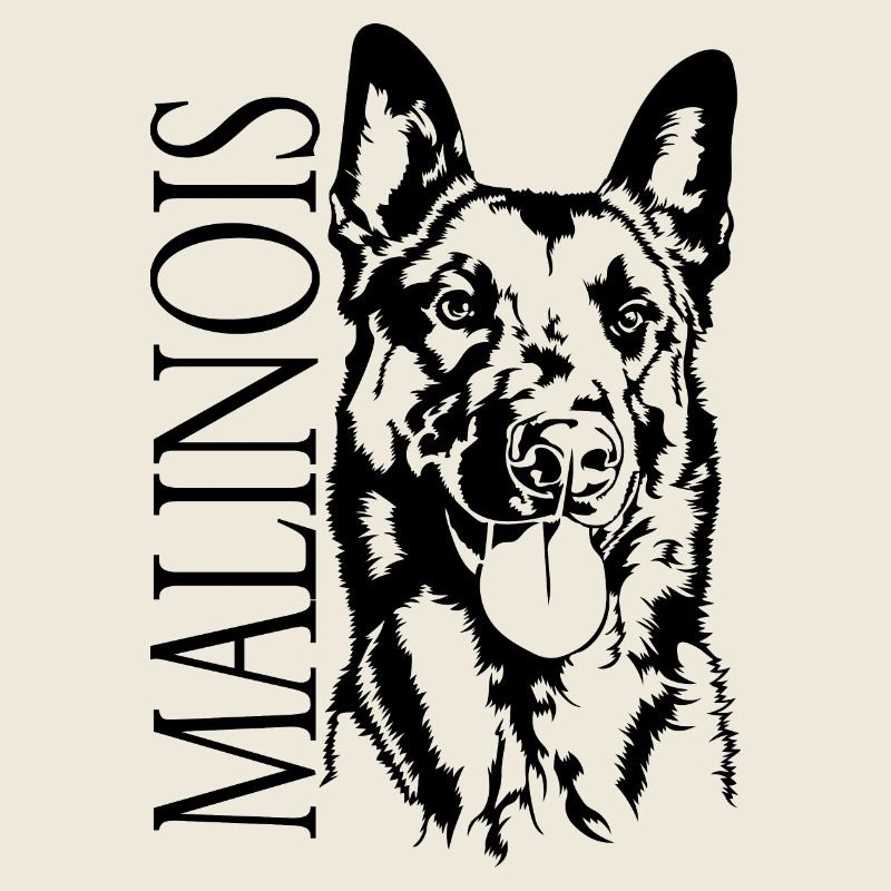 Malinois Portrait Chien Chiens Wilsigns