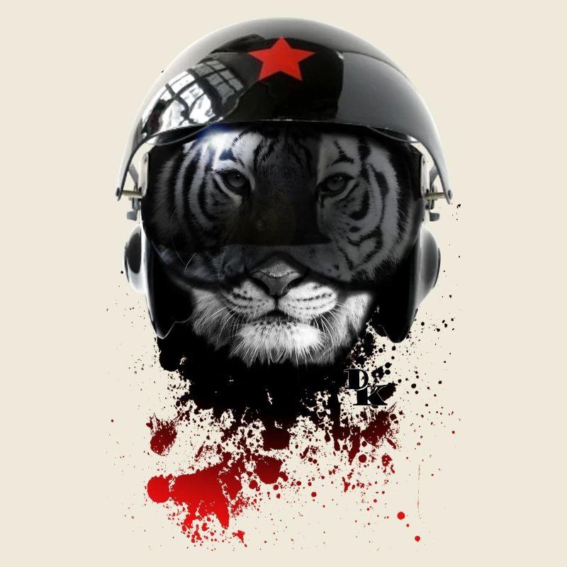 russian pilot by v6 dk