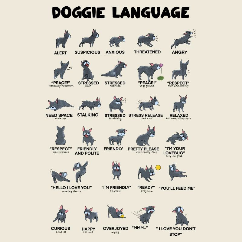 Doggie Language