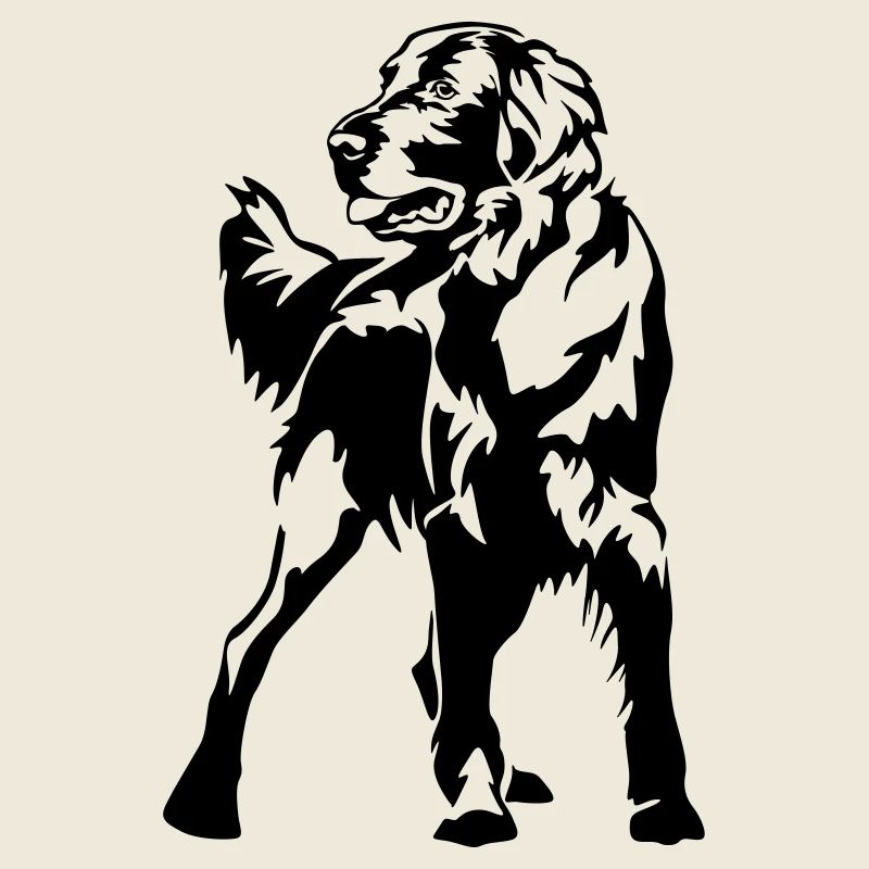 Flat-coated retriever
