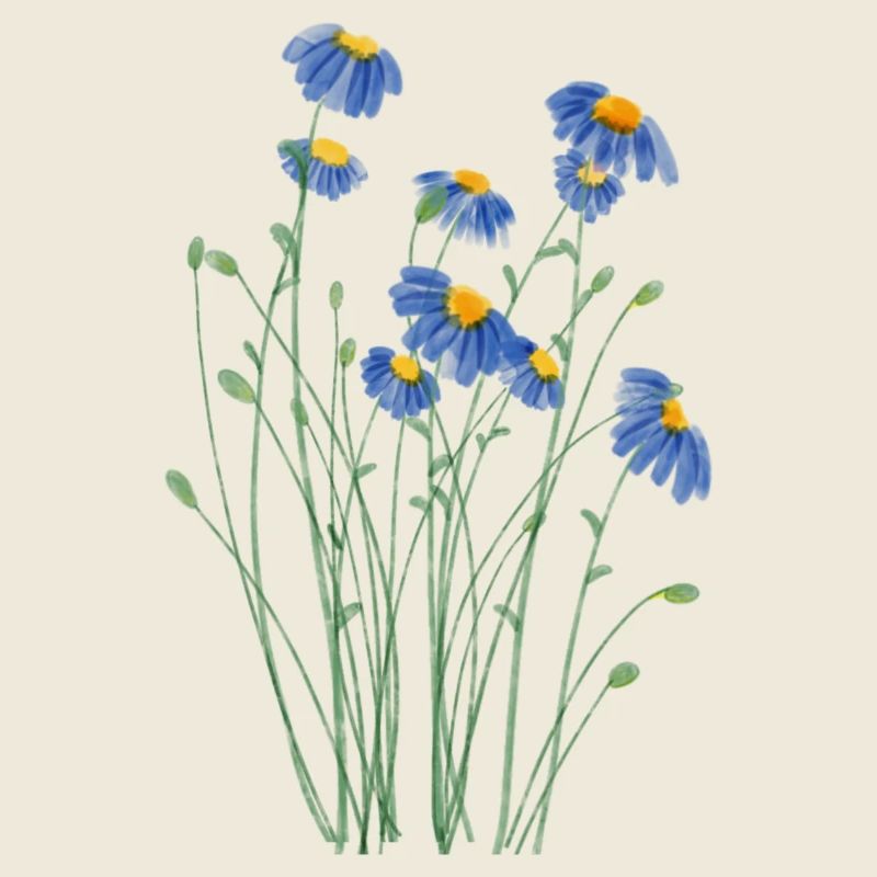 Wilde Blumenwiese im Aquarellstil