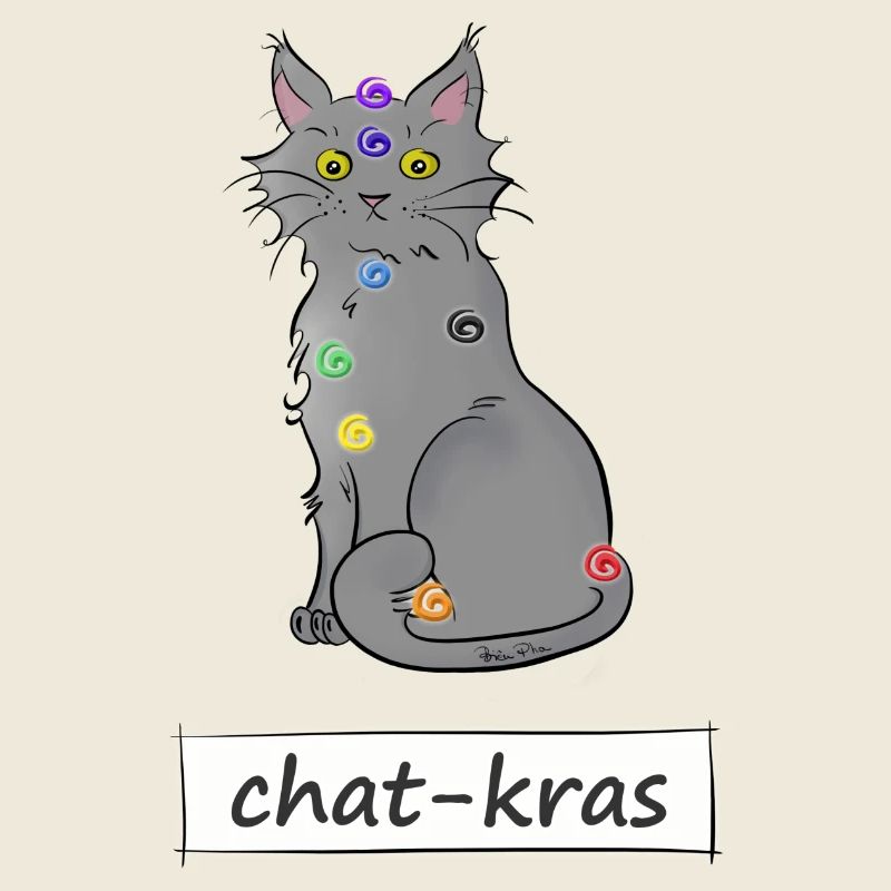 Chat-kras