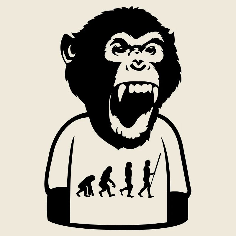 Monkey Evolution