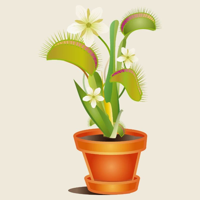 Venus flytrap in pot – colorful illustration