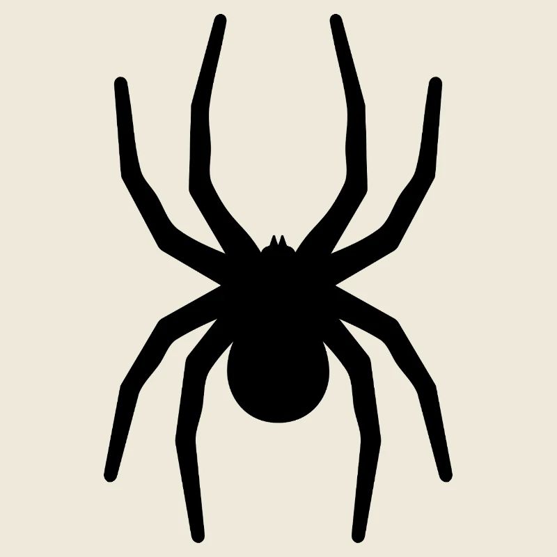 Große Schwarze Spinne