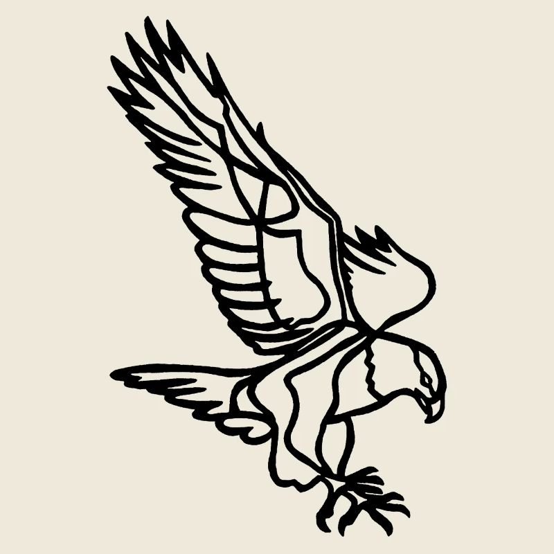 Schwarzer Adler im Flug