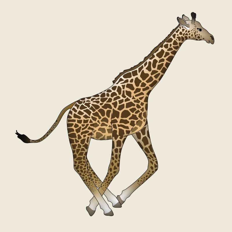 Exécutez la girafe