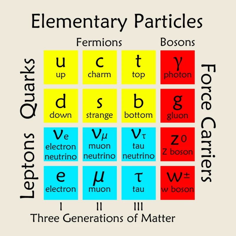 Elementary Particles