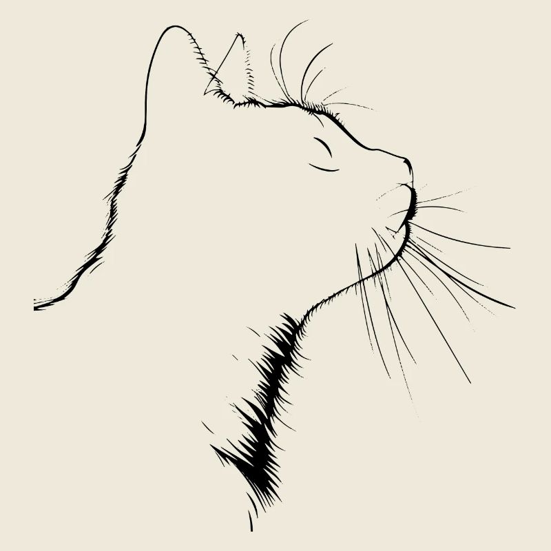 Chat, Motif De Chat