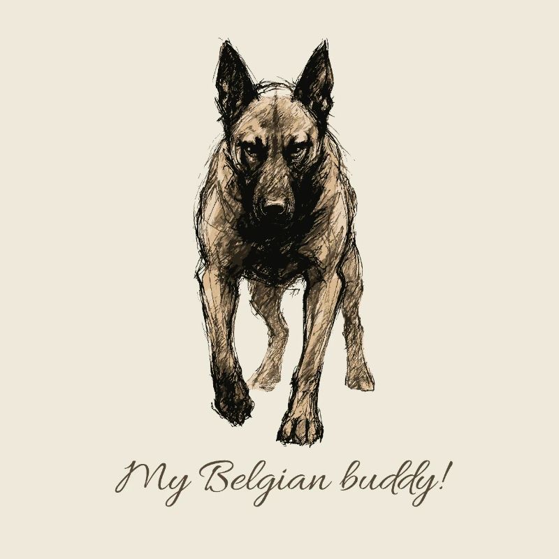 Buddy belge