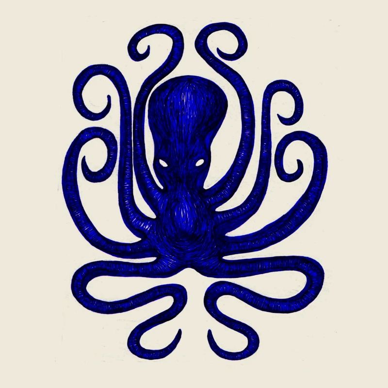 Squid - Octopus