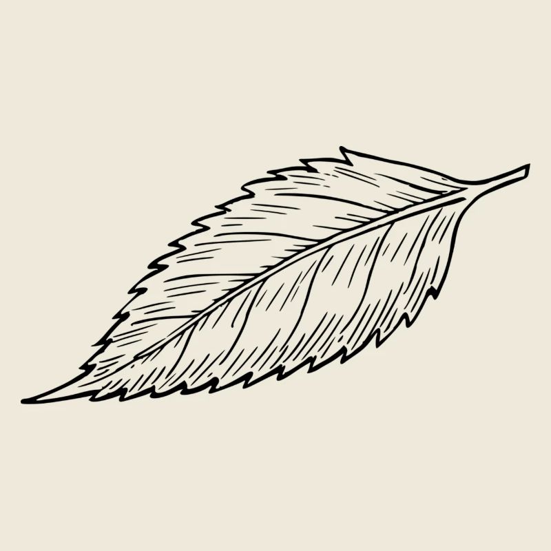 sheet