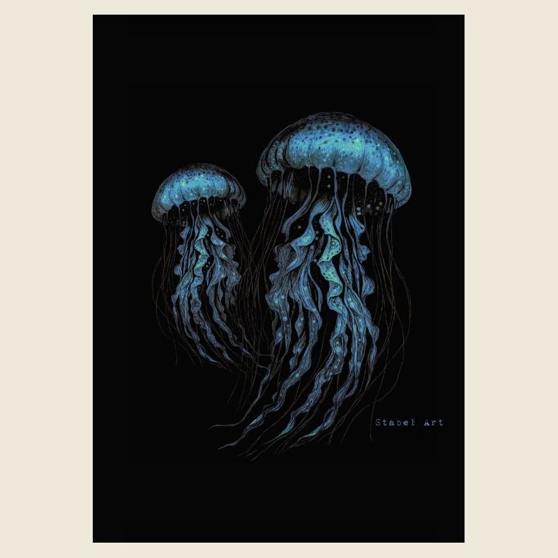 Quallen - Méduses