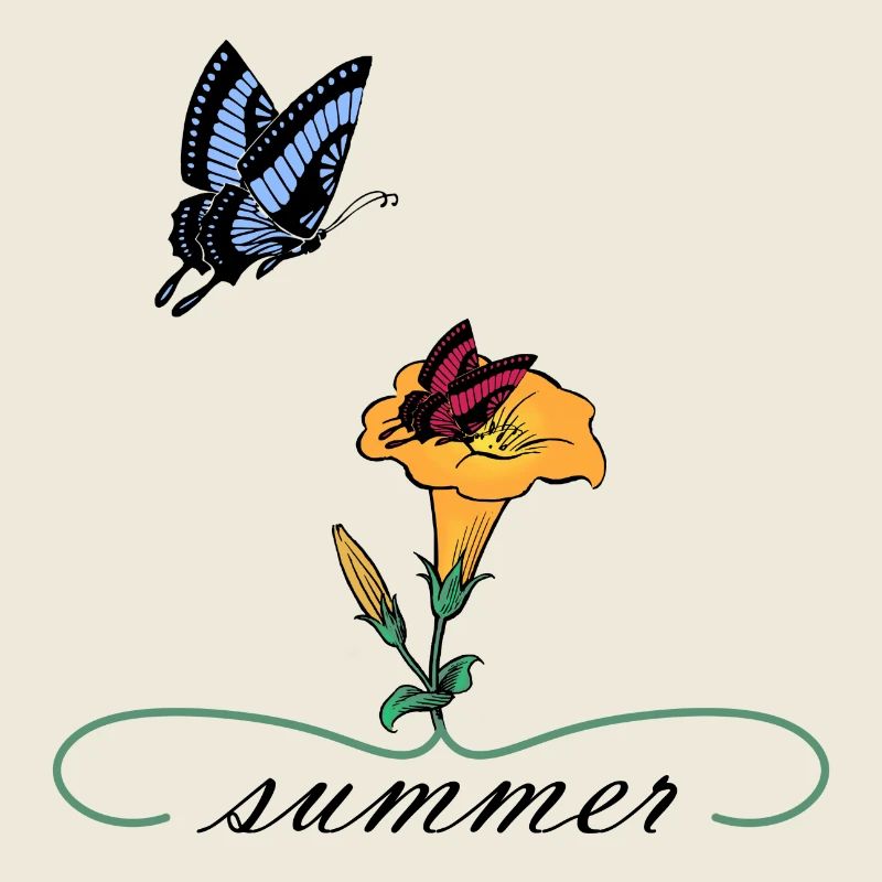 Summer Sommer Schmetterlinge