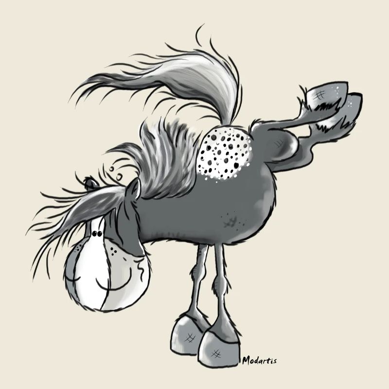 Witziger Appaloosa - Westernpferd