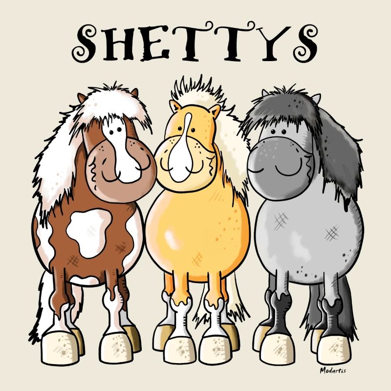 Shetlandpony Trio