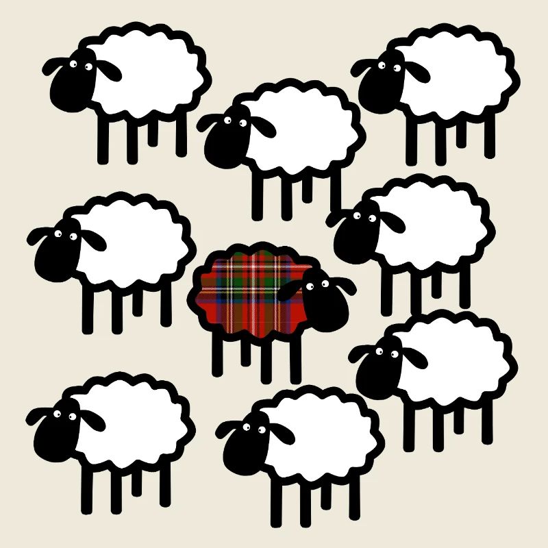 Tartan-Schafe