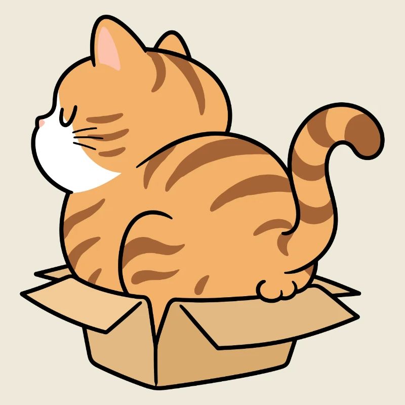 Katzenkind im Karton