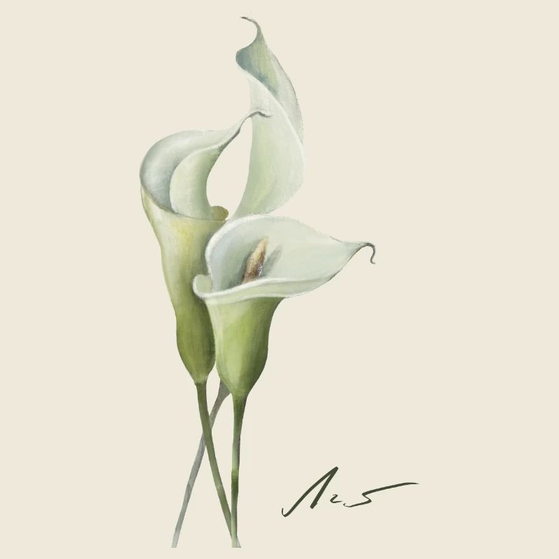 Calla-Lilien Aquarelle