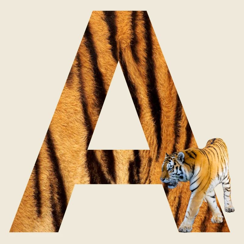 tiger a