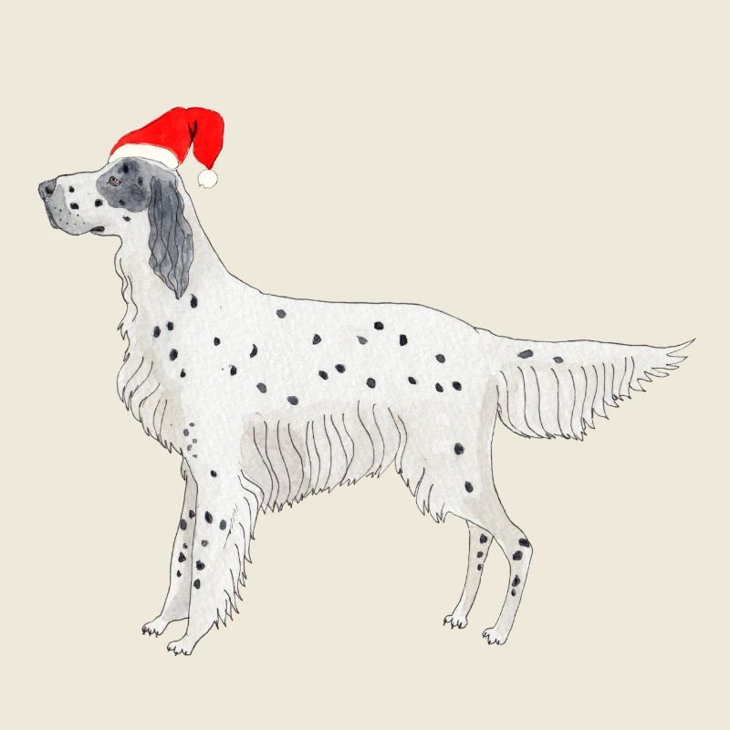 Setter anglais Fundogs Noël