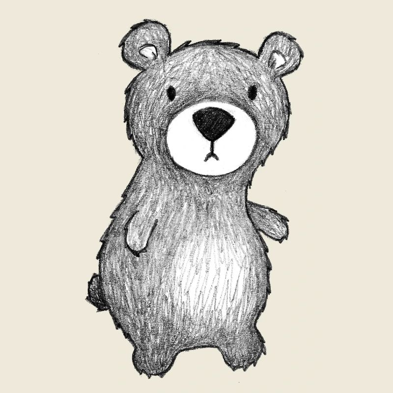 Teddy Bär