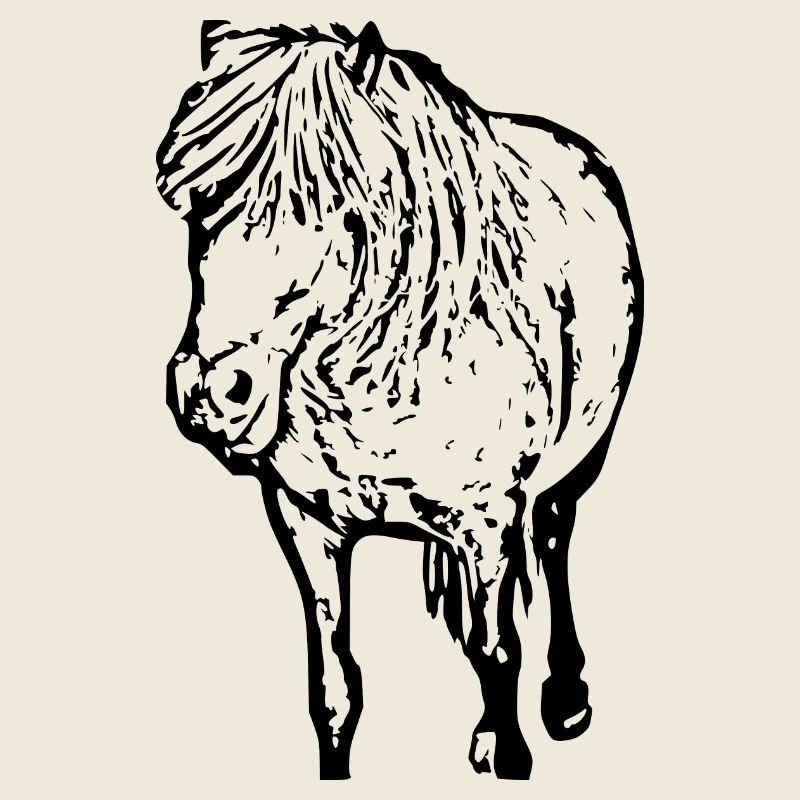 Pferde T-shirt Geschenk Reiter 