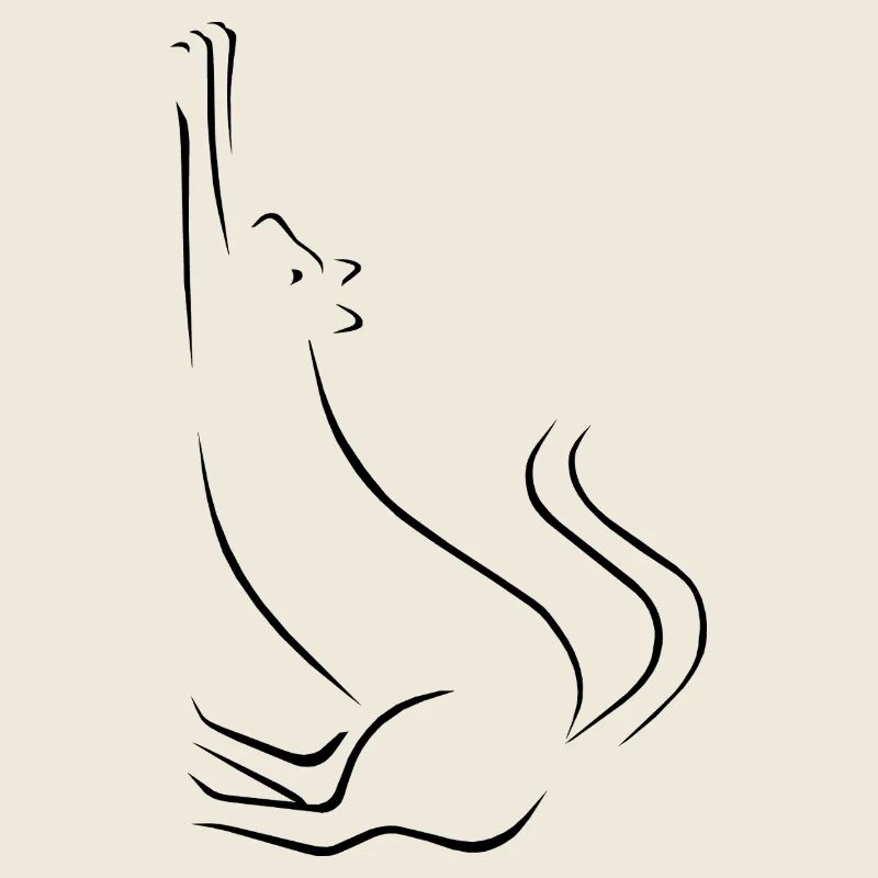 Cat line art drawing