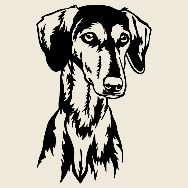 Saluki Kopf
