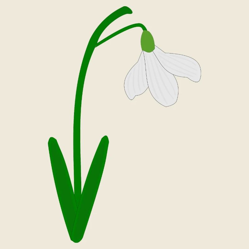 Schneeglöckchen, Geburtsmonat Januar Blumengeburtstag