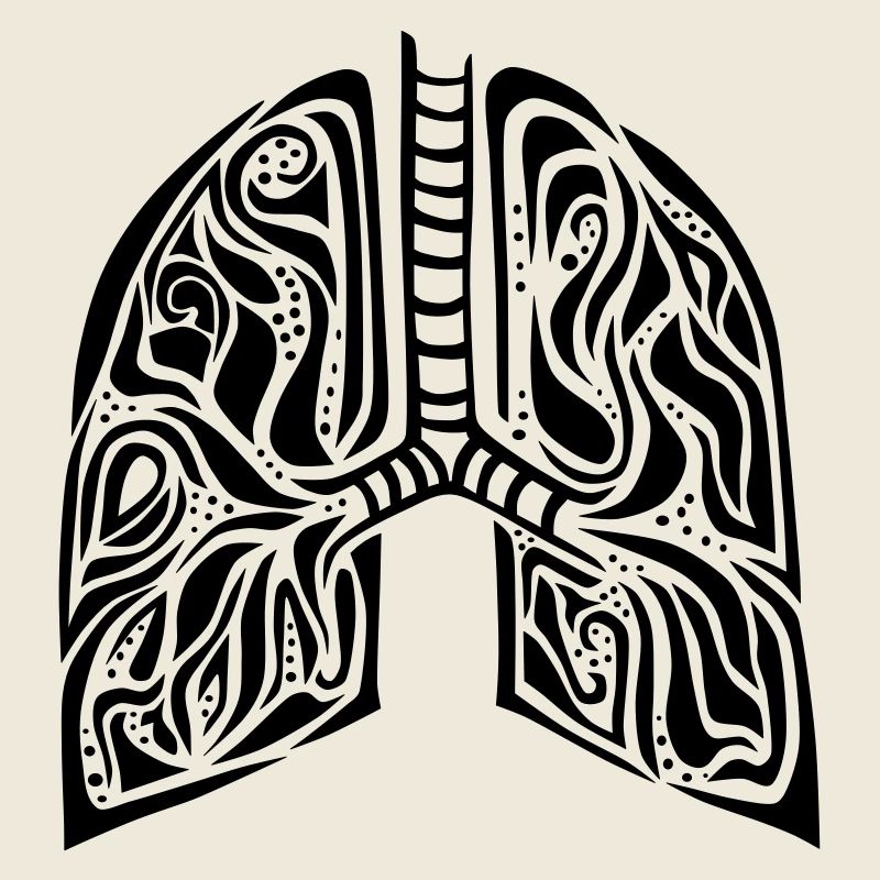 lungs