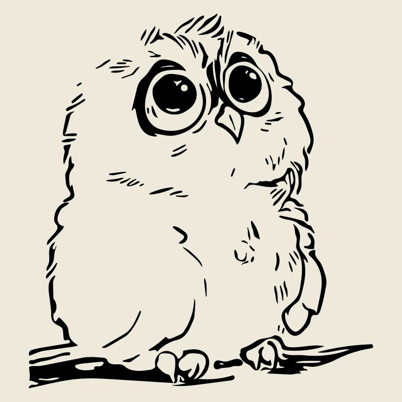 Cute owl