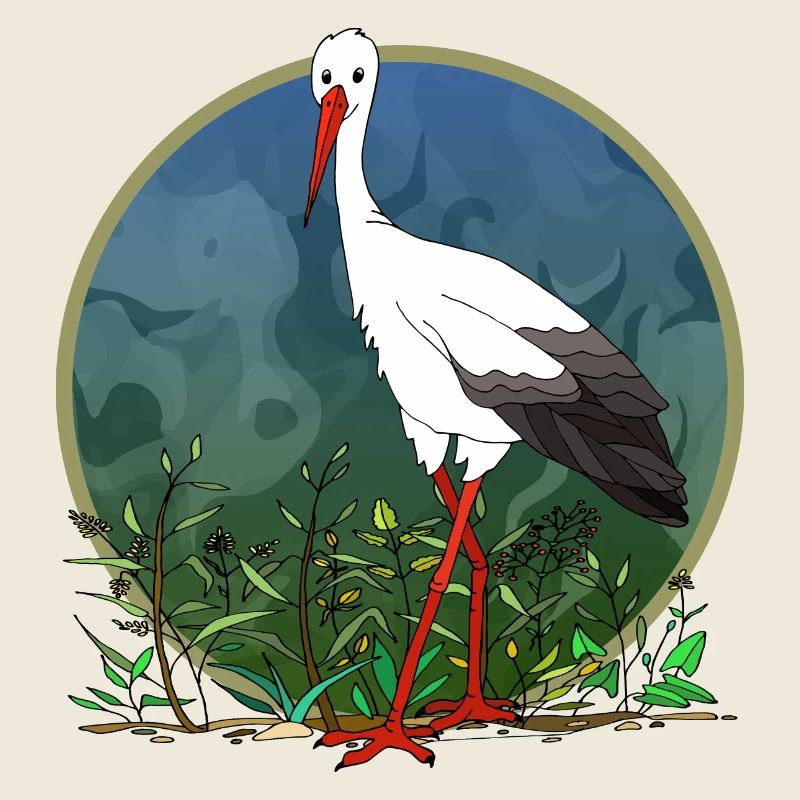 Stork bird