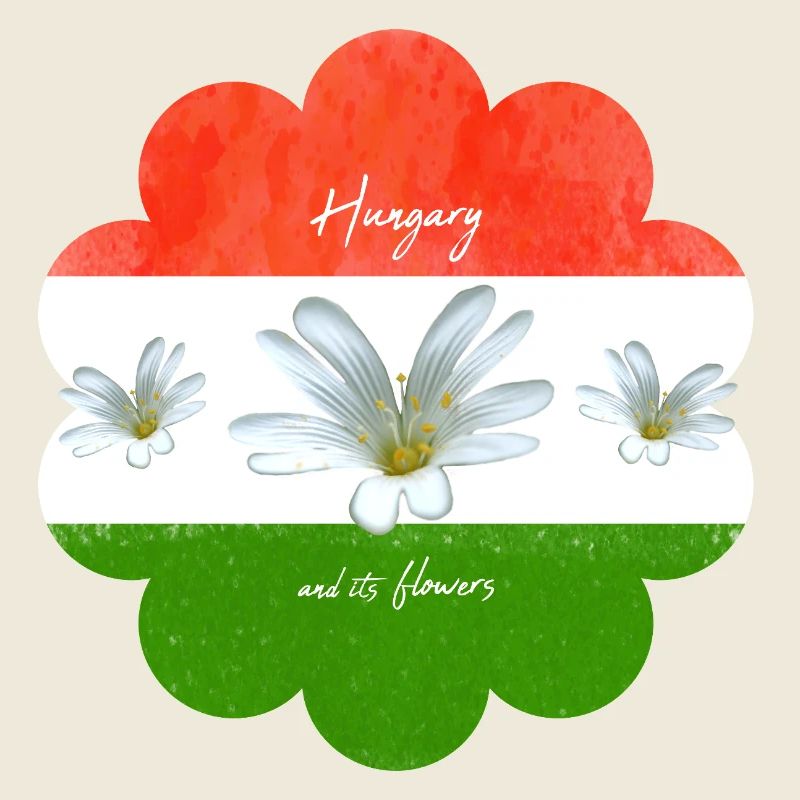Hungary Flag Hungarian Flag
