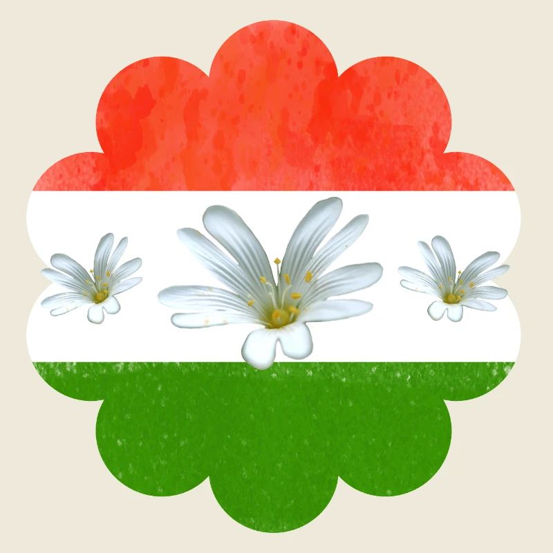 Hungary Flag Hungarian Flag