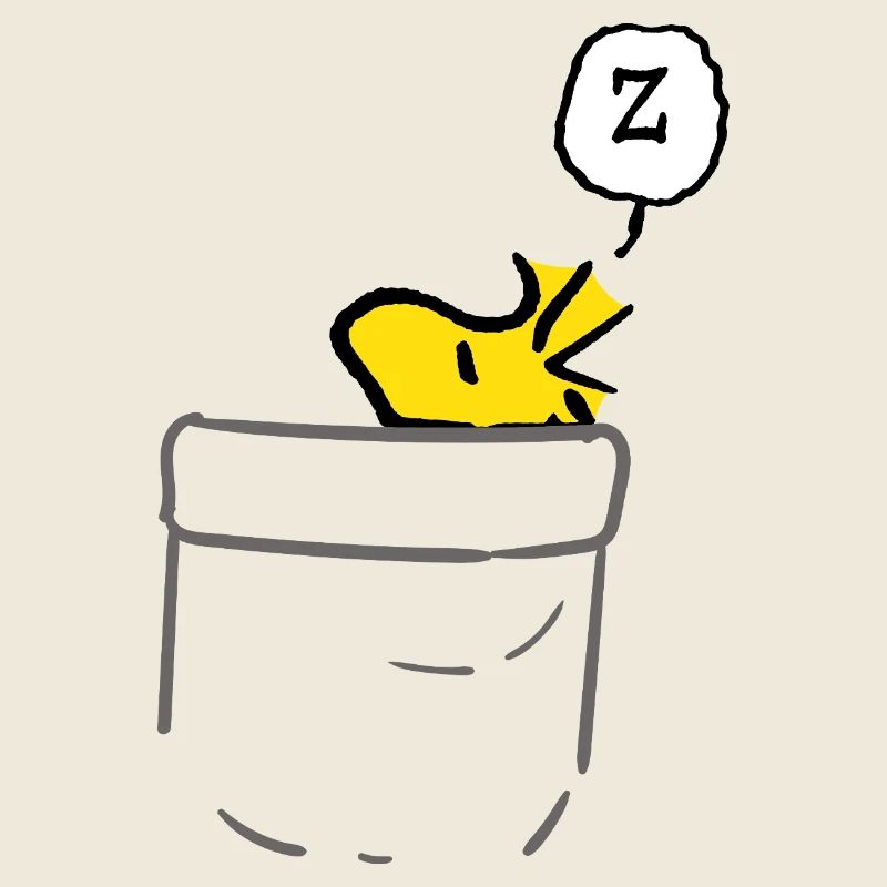 Peanuts Design Mit Schlafendem Woodstock